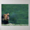 Search for individual posters Wildlife