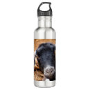 Search for goat water bottles Funny