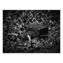 Search for bygone Landscape