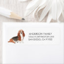 Search for basset hound return address labels Dog