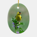 Search for male christmas tree decorations Nature