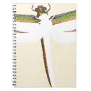 Search for background notebooks White