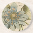 Search for blue background coasters Tropical