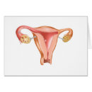 Search for gonad postcards Horizontal