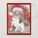 Search for santa beagle christmas cards Puppy
