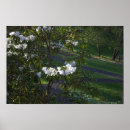 Search for bushes posters Photography