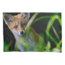 Search for fox pillowcases Woodland