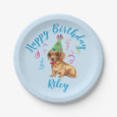 Search for dachshund paper plates Doxie