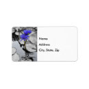 Search for water lilies return address labels Lily