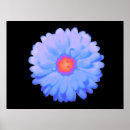 Search for hot cold posters Blue