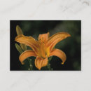 Search for delightful business cards Floral