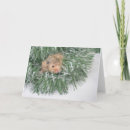 Search for hamster christmas cards Xmas
