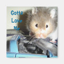 Search for hamster magnets Pet
