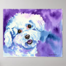 Search for bichon art Dog