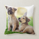 Search for german shepherd cushions Animal