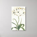 Search for botanical study art Florals