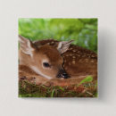 Search for habitat badges Cute