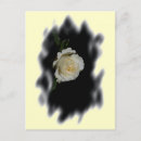 Search for fotos postcards Floral