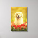 Search for golden canvas prints Flowers