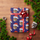 Search for cat in a hat wrapping paper For pets