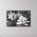 Search for black and white flowers canvas prints Lotus