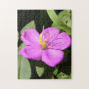 Search for plumeria posters Lei