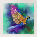 Search for parrots puzzles Tropical