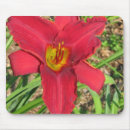 Search for lilly electronics Flower