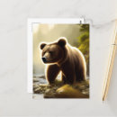 Search for brown bear postcards Wildlife
