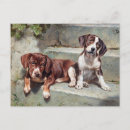 Search for woof postcards Cute