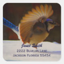 Search for bird address stickers Snow
