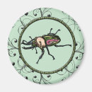 Search for beetles magnets Colourful