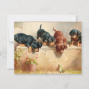 Search for dachshund art cards Animals