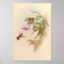 Search for antique bird nest posters Red