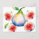 Search for figs postcards Watercolor