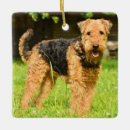 Search for airedale christmas tree decorations Pet