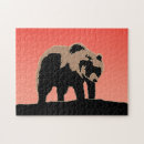 Search for grizzly bear puzzles Alaska