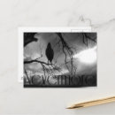 Search for goth trees postcards Halloween