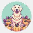 Search for golden retriever stickers Thanksgiving