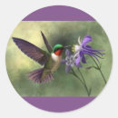 Search for hummingbird and flower stickers Birds