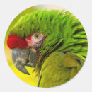 Search for profile stickers Bird