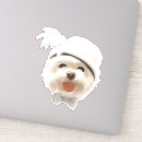 Search for bow tie stickers Puppy