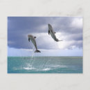 Search for delfin postcards Motion