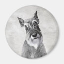 Search for schnauzers magnets Puppy