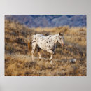 Search for roaming posters Ranch