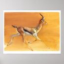 Search for antelopes art Running