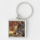 Search for wolf key rings Wolves