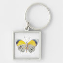 Search for animal square key rings Photography
