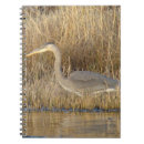 Search for herons Wading birds