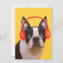 Search for headphone cards Cute